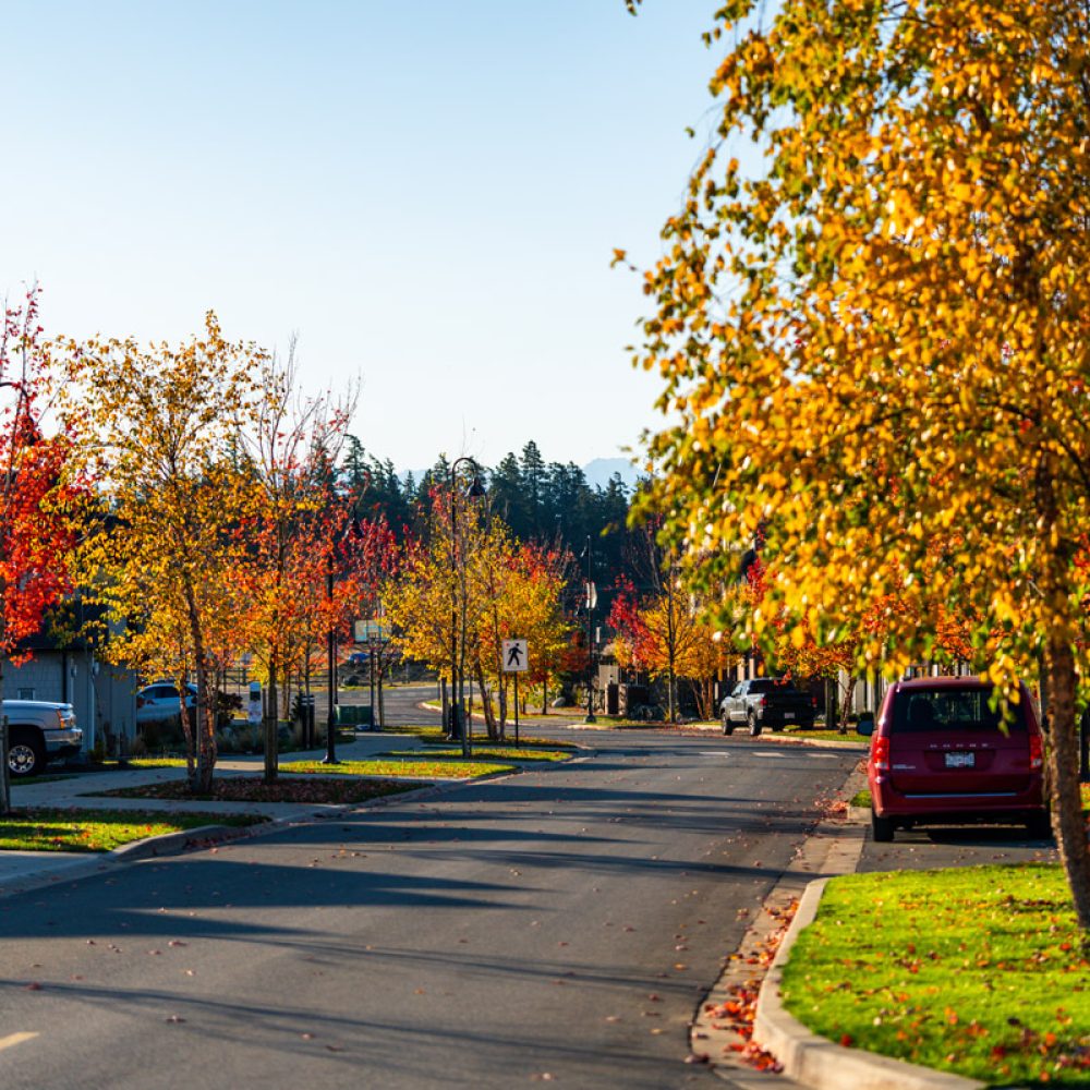 RoyalBay_Neighbourhood_1